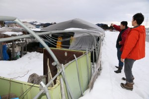 記録的な大雪で、ハウスが倒壊するなどの被害が出た