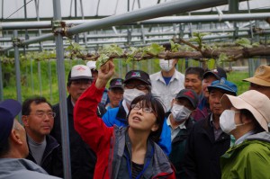 実りある秋のためにシャインマスカットの栽培講習会を開催