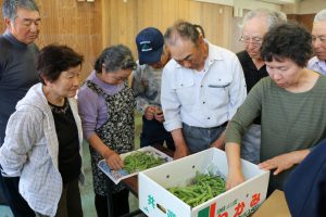 手に取って選別基準を確認する生産者