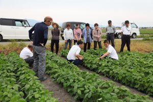 圃場で生育を確認する生産者