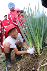 小学生による収穫体験の様子