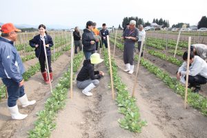 圃場で生育を確認する生産者ら