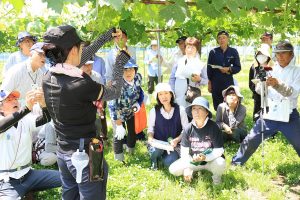 予備摘粒の作業方法を学ぶ参加者